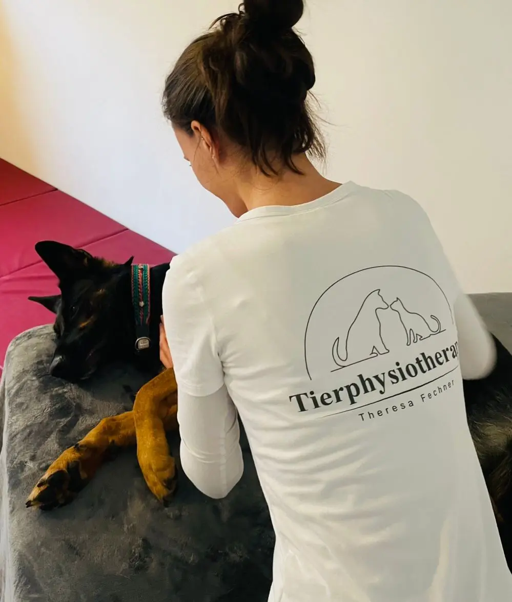 gesundheits-und-wellness-massagen-fuer-hunde-und-katzen
