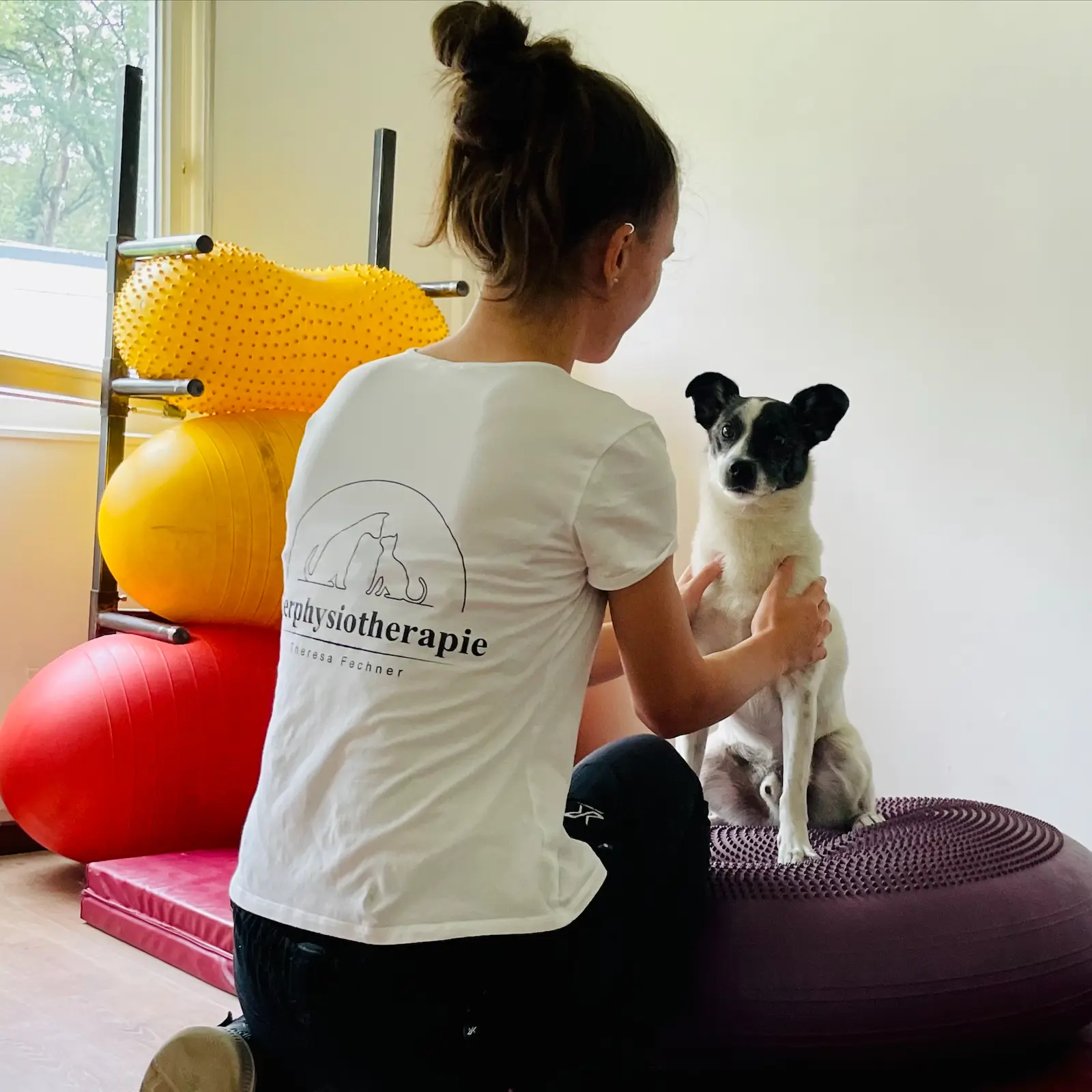 ueber-mich-tierphysiotherapie-theresa-fechner